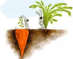 N&atilde;o Confie na Apar&ecirc;ncia